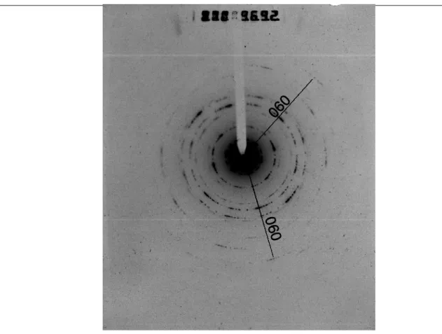 Figure 30 : Cliché de diffraction électronique du Bout 5 (point chaud) de l’expérience 2, montrant  une structure de smectite trioctaédrique