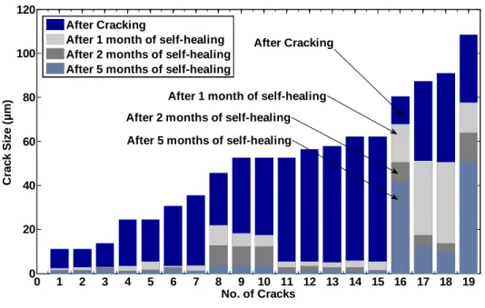 Fig.  66: The evolution of the size of crack before and after self-healing in humid chamber 
