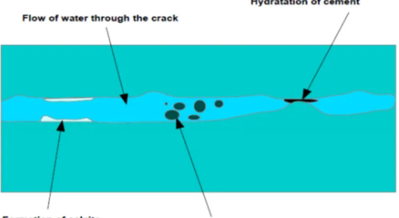 Fig.  7: Phenomena causing the decreasing in the flow of water in cement materials 