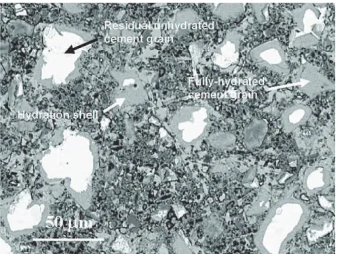 Figure 1.3 – Observation de la microstructure d’une pâte de ciment de E/C = 0.3, maturée à température ambiante pendant 103 jours, tirée de [39], obtenue par MEB et détecteur BSE (BackScattered Electron).