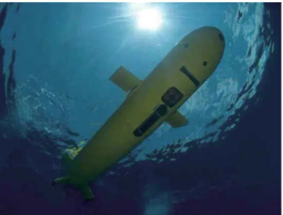 Figure 1.1: Examples of using AMRs to explore hostile environments to humans