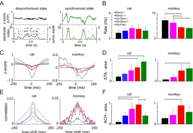 Fig 2. Characteristics of LFP-spike relationship and spiking activity for different cortical states