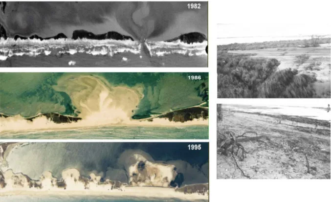 Figure  2.6 : A droite : photos aériennes du cordon sableux de Maguelone durant la tempête  de  novembre  1982  (haut)  puis  ce  même  cordon  4  et  13  ans  après,  où  nous  pouvons  voir  l’influence de cet événement sur la submersion et la morphologi