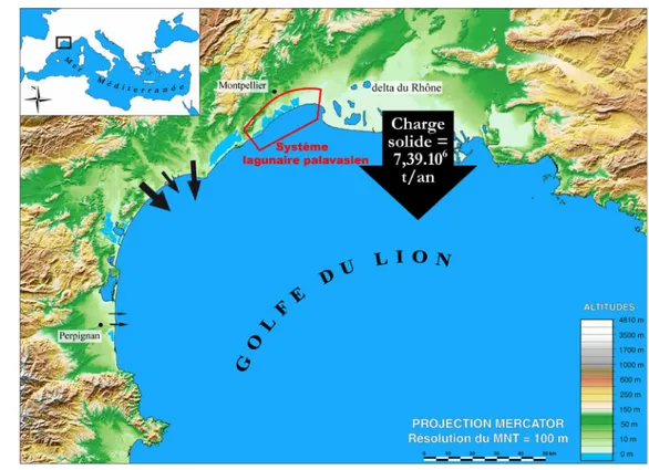 Figure  2.8  :  Carte  du  Golfe  du  Lion  et  localisation  de  l’embouchure  des  principaux  fleuves  (la flèche étant proportionnelle à la charge solide annuelle)