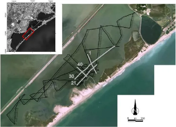 Figure  3.1 : Plan de positionnement avec la localisation des profils sismiques acquis dans la  lagune de Pierre Blanche
