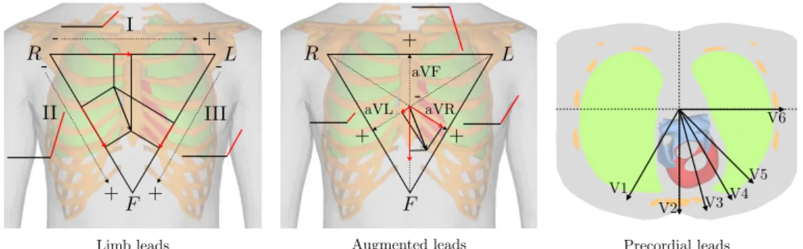 Figure 1.9: Representation of the 12 ECG leads on the frontal plane (left and middle) and on the horizontal plane (right).
