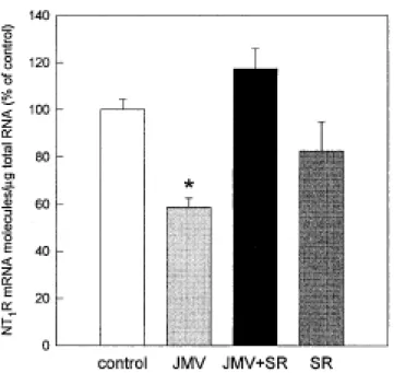 Figure  2.  Regulation  of  NT 1   receptor  mRNA  in  brain  cortical  cultures  after  exposure  to  the neurotensin agonist JMV 449, and  the  N T 1   receptor  antagonist  SR 48692