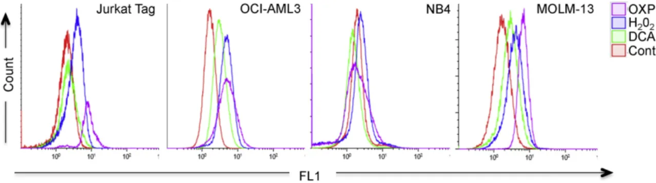 Fig. 2.Cells performing OXPHOS activate an antioxidant response. A) Different cell lines were grown in OXPHOS medium for at least 1 month before mRNA extraction