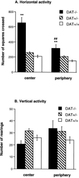 Figure  4.  Horizontal  (A)  and  vertical  activity  (B)  in  DAT-/-,  DAT+/-  and  DAT+/+  mice measured in an open field test during 6 min