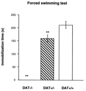 Figure  6.  Behavioral  responses  of  DAT-/-,  DAT+/-  and  DAT+/+  mice  to  the  forced  swimming test