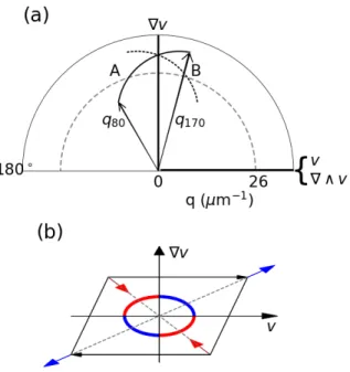 Figure 2. (a) Polar representation of the scattering vector q as a function of its angle relative to the flow, either in the (v,∇v) plane or in the (∇∧ v,∇v) plane 