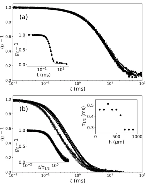 Figure 5. Dynamic structure factor of a monodisperse suspension (M149) of volume fraction φ = 0.30 at different heights inside the gap of the shear device from 100 µm above the lower surface up to 100 µm below the upper surface, at θ = 100 ◦ 