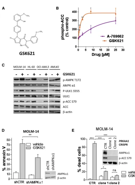 Figure 1. GSK621 Is a Specific and Potent AMPK Activator