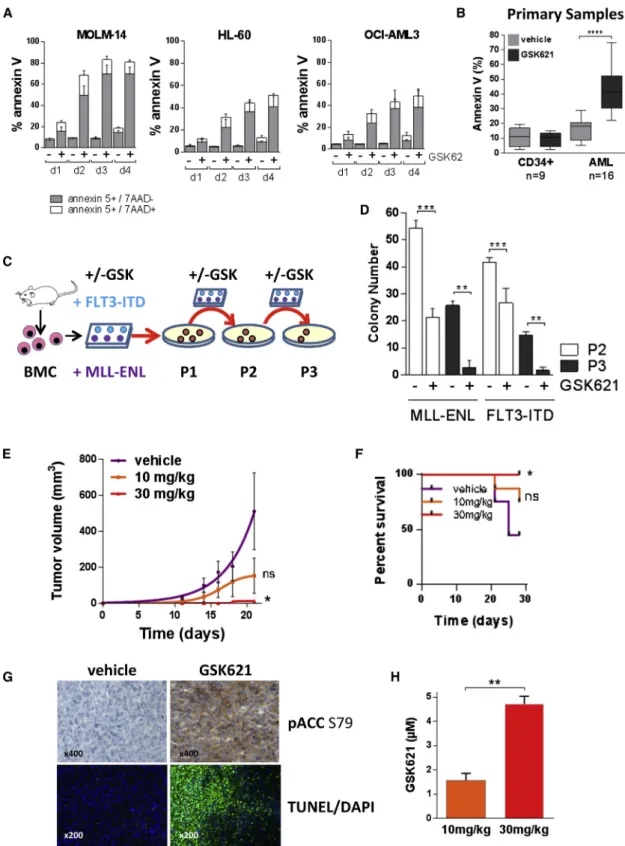 Figure 2. GSK621 Induces Anti-leukemic Activity in AML