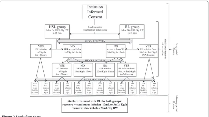 Figure 2 Study flow chart.