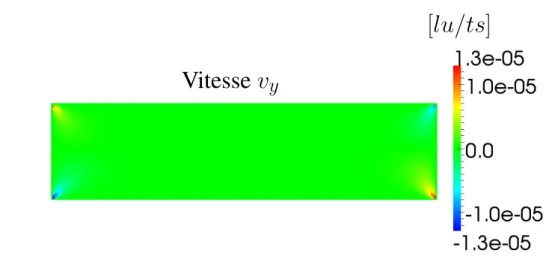 Fig 2.11 – Champ de la composante v y de la vitesse d’un écoulement de Poiseuille pour un nombre de Reynold Re = 10.