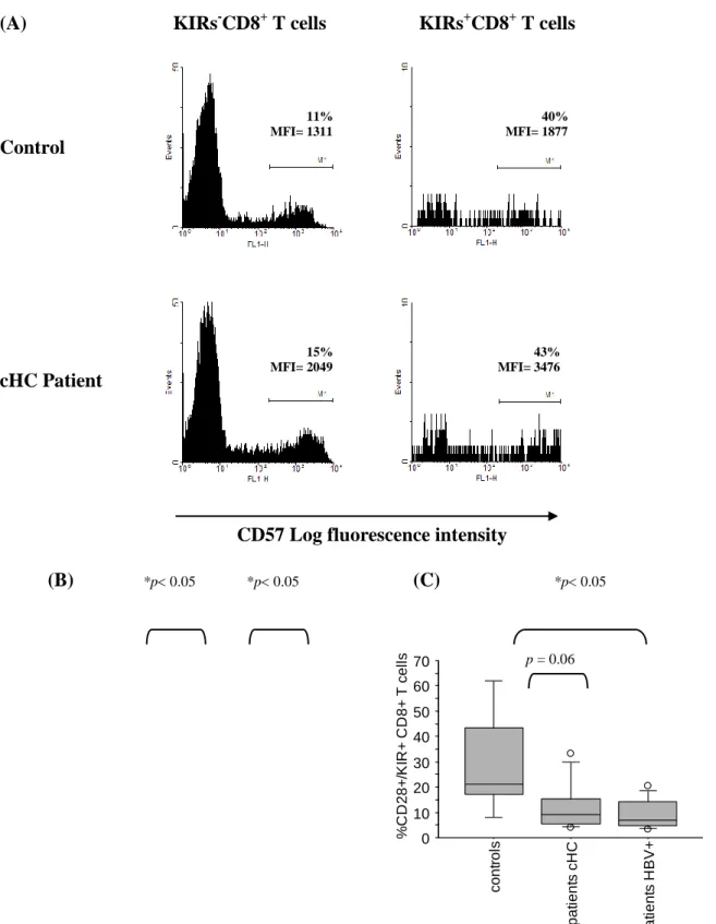Figure 6. Phenotypic traits of KIRs + CD8 +  T cells in chronically HCV-infected patients.