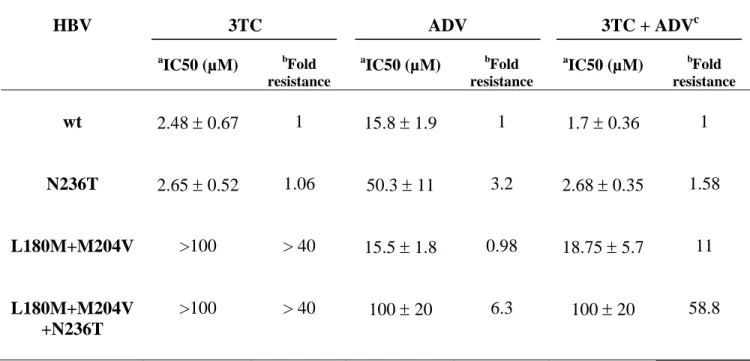 Table  1.  In  vitro  suceptibility  of    the  L180M+M204V+N236T  laboratory  strain  to  3TC, ADV and 3TC+ADV bitherapy