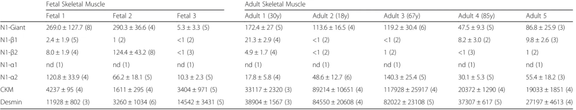 Table 4 Relative expression of mRNA of nesprin-1 isoforms and markers of differentiation in normal human skeletal muscle
