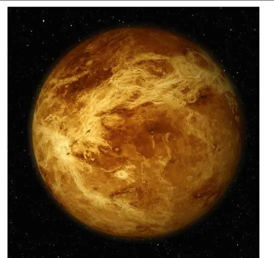 Figure 1.6.: Photo de Venus [http ://lesdebrouillards.tv]