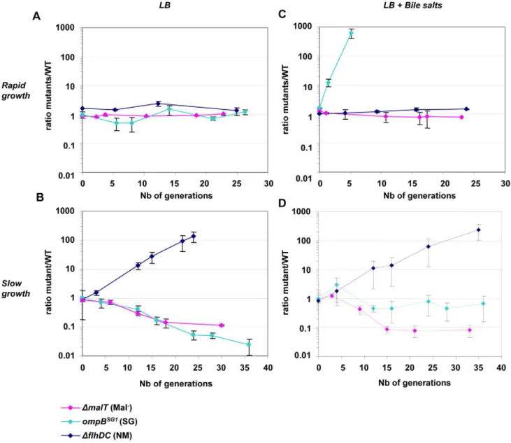 Figure 3. Deletion of flhDC genes confers a growth advantage in chemostat. Evolution over time (in days) of the ratio of mutant (green) to WT (red) CFU in chemostats inoculated with E