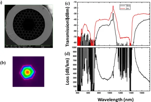 Figure 2.17: Optical characterizations of the 19 cell kagome lattice HC-PCF used for experiments  (a) SEM image of kagome fiber (b) near field image at the output of fiber (c) transmission spectra  (d) loss spectrum.
