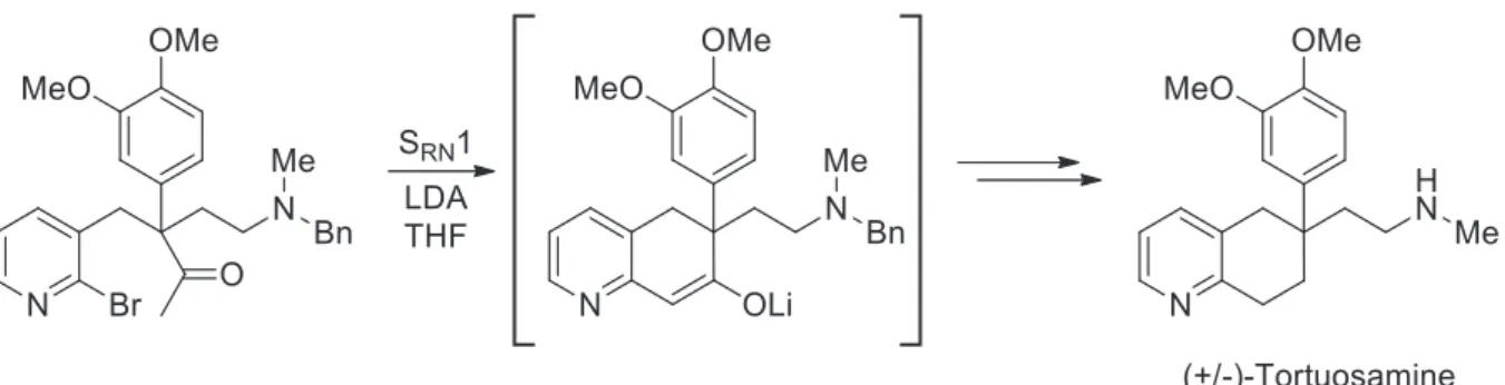 Figure 13. SRN1 intramoléculaire pour la synthèse de la Tortuosamine 