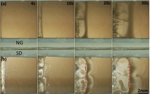 Figure 4.2 Macroscopic morphology evolution of NG with SCN-70wt%H 2 O solution (a), and SD  with SCN-50wt%H 2 O solution  (b) with time
