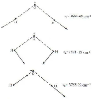 Figure 3-3 Les 3 modes normaux de la molécule d'eau, à droite les nombres d'ondes  (en cm -1 ) correspondant aux vibrations de la molécule isolée en phase vapeur [Eisenberg et  Kauzmann 1969]