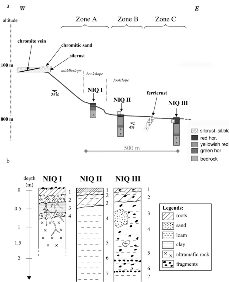 Figure 2 – Location of the three profiles of the ultramafic toposequence studied in Niquelândia  (Brazil) (a) and the main soil characteristics of the profiles NIQ I, NIQ II and NIQ III (b)