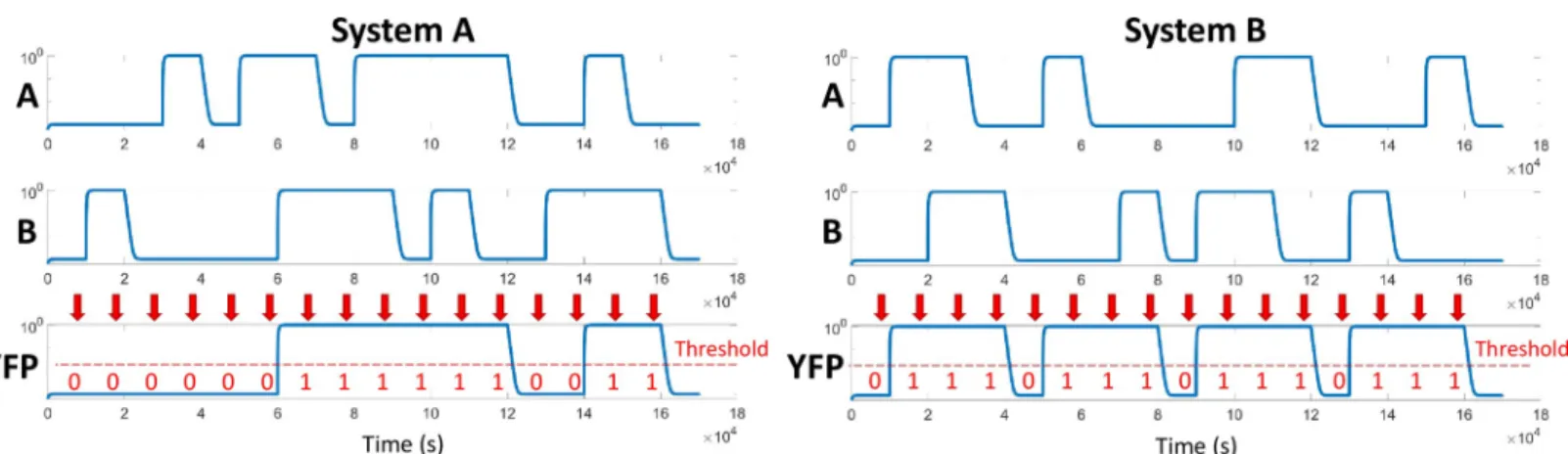 Fig 5. MATLAB simulation results of dynamic models of both systems. (A) corresponds to system A while (B) corresponds to the first version of the system B