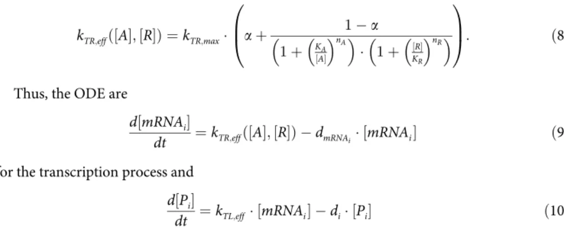 Table 1. Default parameters used for the dynamic model of the GRN.