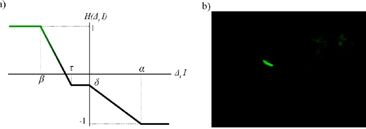 Figure III-3 Dynamic probability mask, a) updating function 