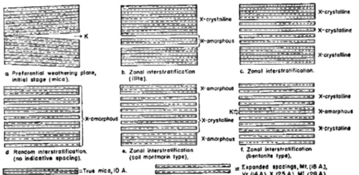 Figure I.4 :  Représentation  schématique  de  la  séquence  d’altération  des  micas  en  feuillets expansibles