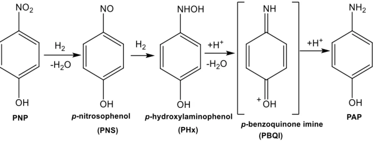 Figure 20    Mechanism of hydrogenation of PNP to PAP with H 2  proposed by Parida  60(b)