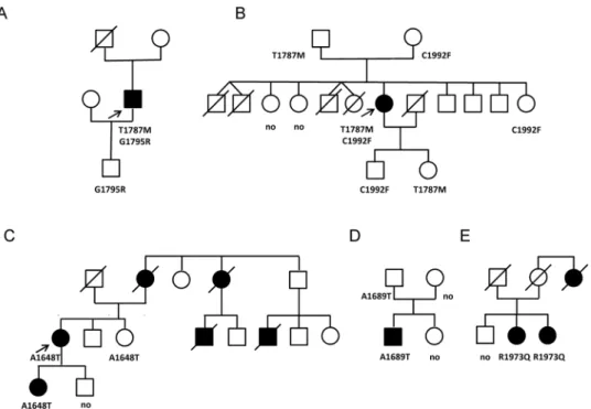 Figure 1.  Family pedigrees of Cases 1 to 5 (A–E) with the members carrying CACNA1C variants