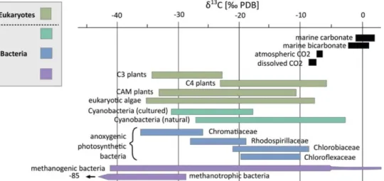 Figure 7:  13 C composition of inorganic carbon reservoirs and autotrophs (both bacterial and eukaryotic  domains)