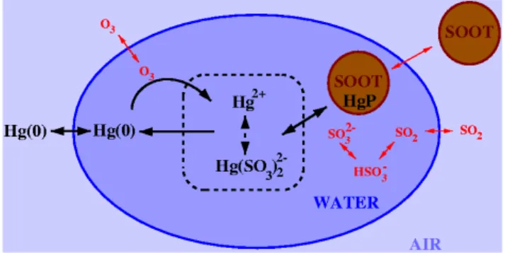 Fig. 1. Schematic of the Petersen et al. (1995) mercury chemistry model.