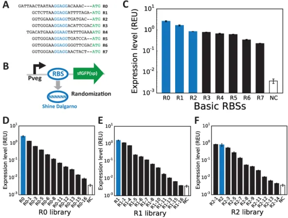 Figure 3. RBS libraries to tune translation level in B. subtilis. (A) A set of nine RBSs was selected