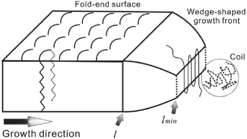 Figure  1-6  Schematic  illustration  of  the  side  growth  front  of  a  wedge-shaped  lamellae,  indicating that crystal growth consists two stages  54 