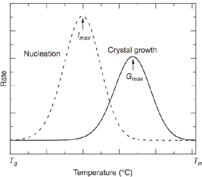 Figure 1-7 Schematic temperature dependence of primary nucleation rate and crystal growth  rate  61 