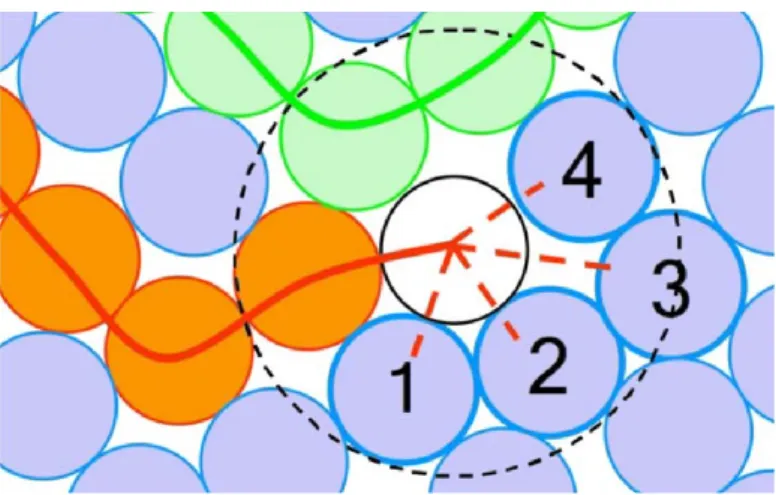 Figure 2-2 Schematic illustration of growth step during the radical-like polymerization method
