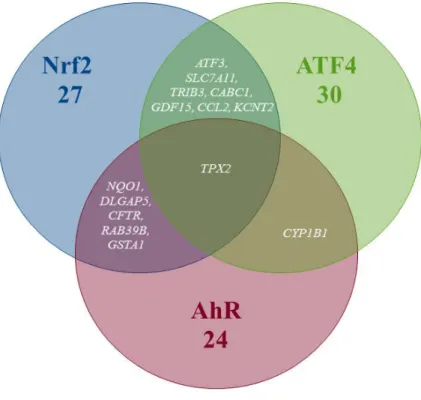 Figure 22. Venn diagram of the number of genes per pathway’s global signatures and names  of genes of overlapping zones