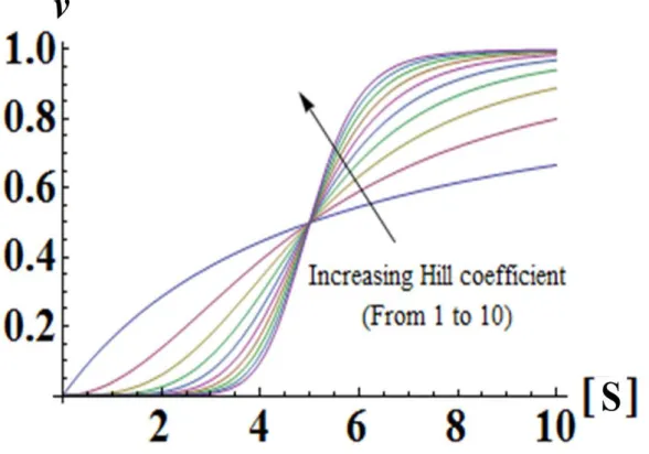 Figure 5. Plot of enzymatic reaction’s velocity v against substrates concentration [S] in 10  different cases for Hill’s coefficient α gradually increasing from 1 (hyperbolic: 