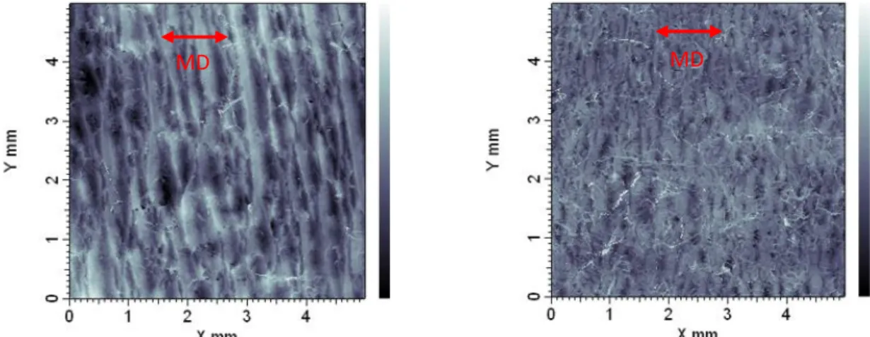 Figure 26: Exemple d'images topographiques obtenues avec le microscope confocal ; à gauche la BS1,5 et à droite  la BS3,5 