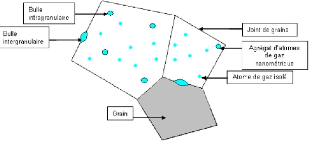 Figure I-7 : Schéma de principe de différentes localisations des gaz de fission dans le  combustible [Valin 1999]
