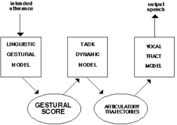Figure 4 : Modèle de production de parole proposé par la théorie de la phonologie  articulatoire (Figure empruntée à Browman et Goldstein, 1990) 