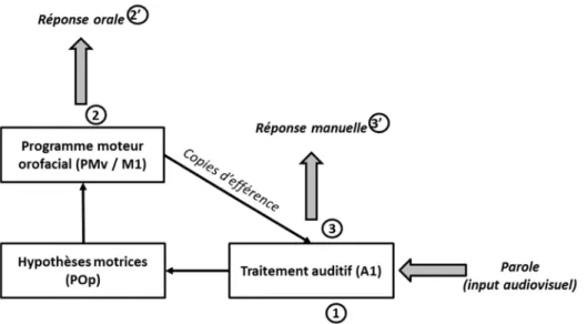 Figure 19 : Interprétation possible du mode de réponse à partir du modèle de Skipper et  collègues (2007)