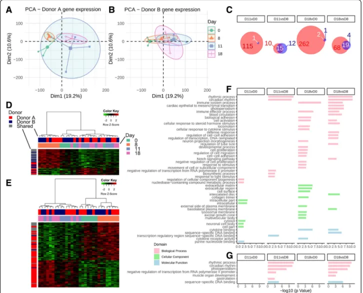Fig. 4 Gene expression analysis for both donor groups individually. a PCA as in Fig. 3a, isolating donor A gene expression