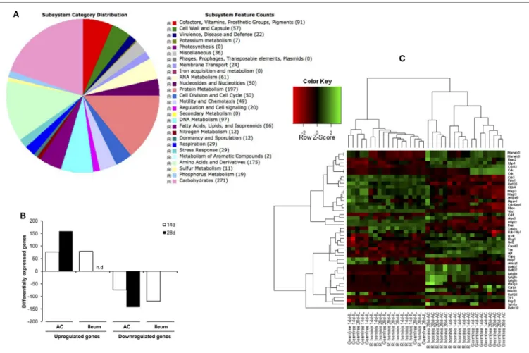 FigUre 1 | Sequence features of Roseburia hominis genome and differentially expressed transcripts in the murine gut after mono-association with R
